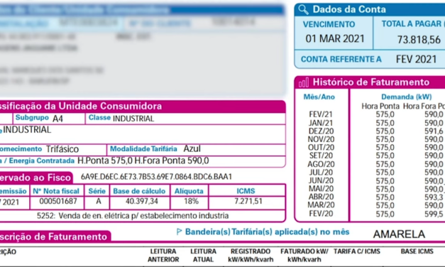 Você sabe o significado dos componentes da sua conta de luz ?