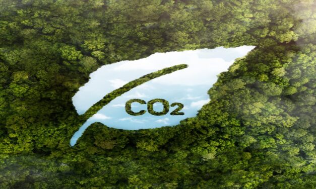 Como Funciona o Crédito de Carbono para Empresas e Quais São Seus Benefícios