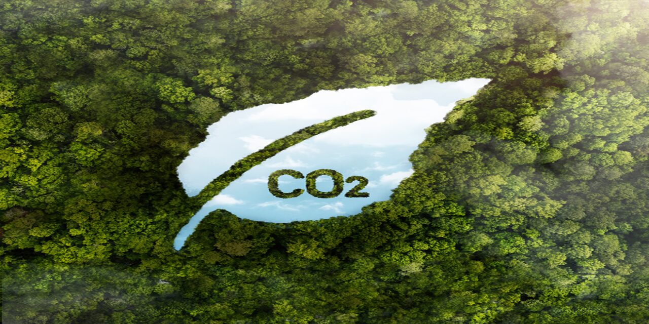 Como Funciona o Crédito de Carbono para Empresas e Quais São Seus Benefícios